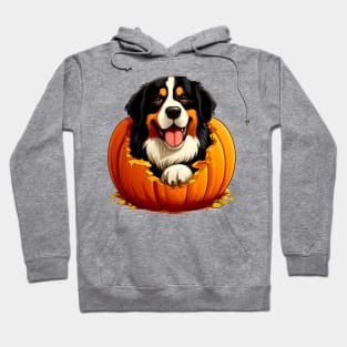 Bernese Mountain Dog inside Pumpkin #3 Hoodie